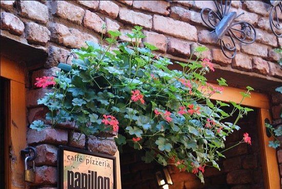 Caffe Pizzeria Papillon